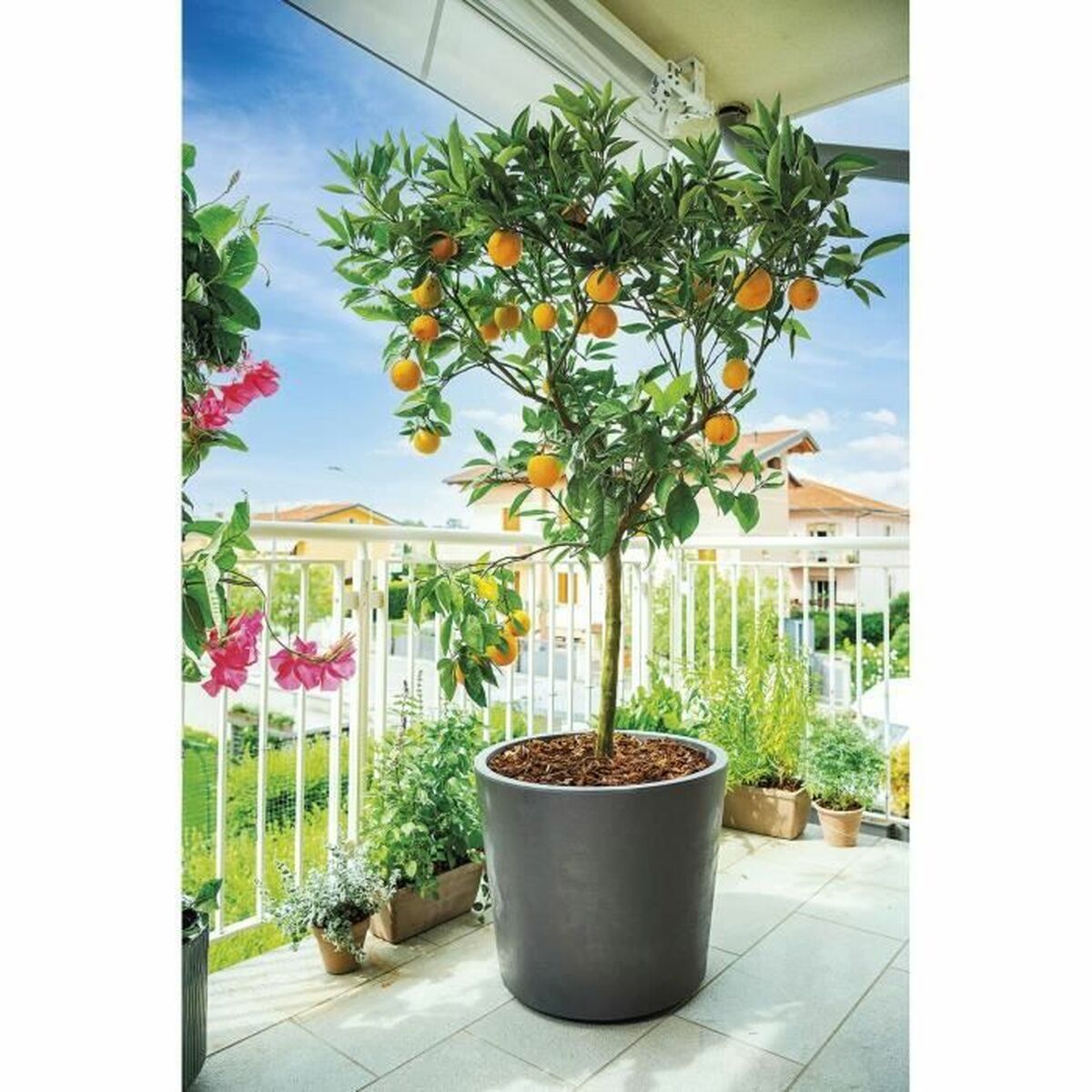 V3H16FF84A8C64C2FC061442ED10156E487R6704726P6