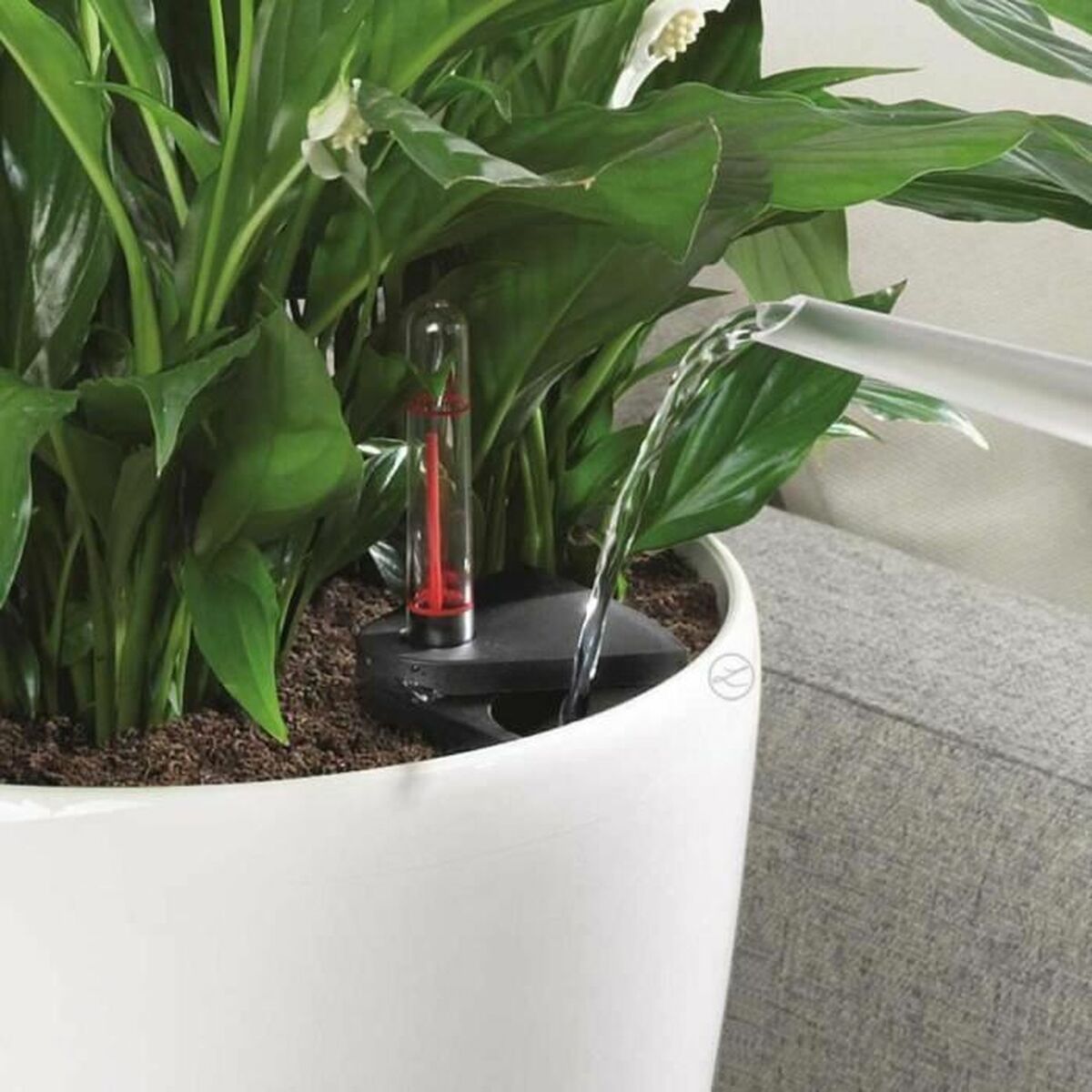 V5H80230FF23334DAC8E9AAB0B7D89DCBA9R7349235P7