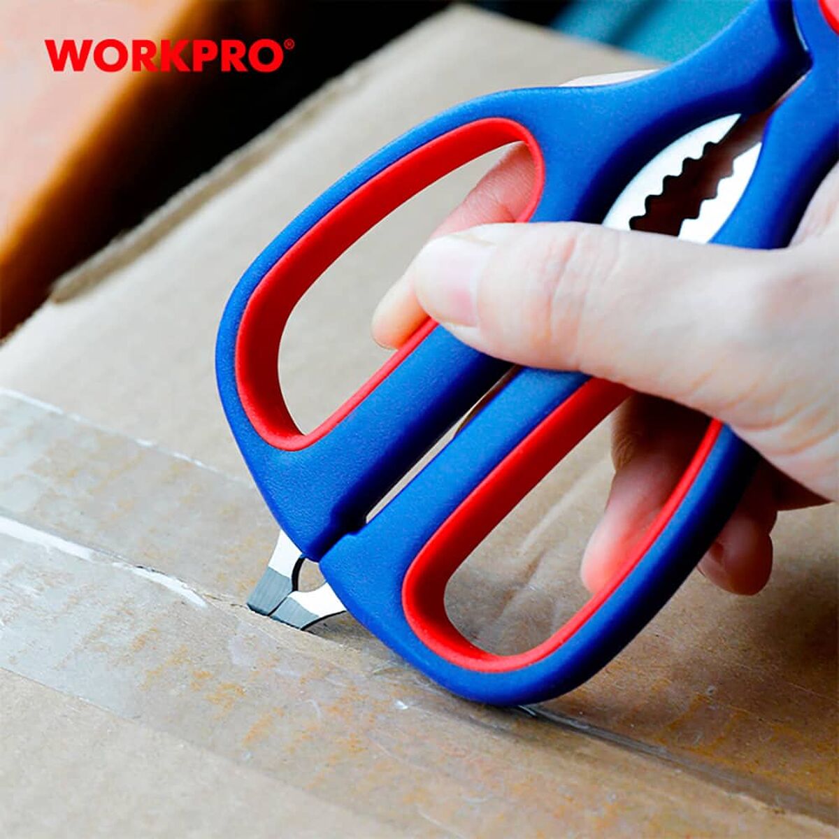 V3H8F2E71A47A3567209F4CEB783BC9625AR7153464P5