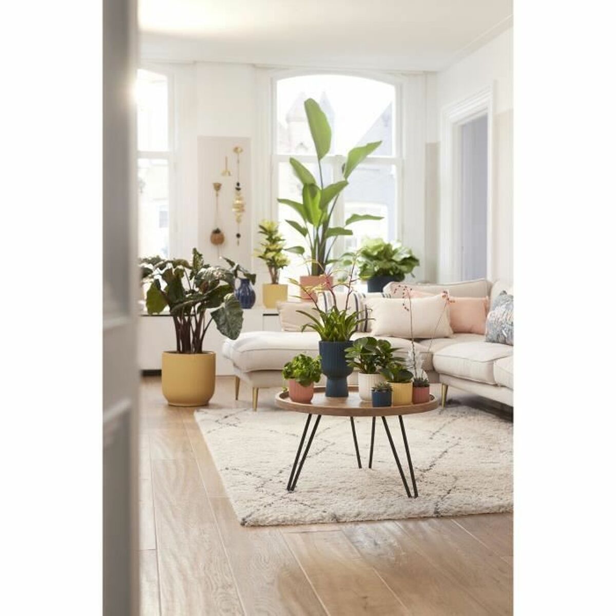 V8H938692B7415ED79C74307B8866D2C8C3R3436813P6