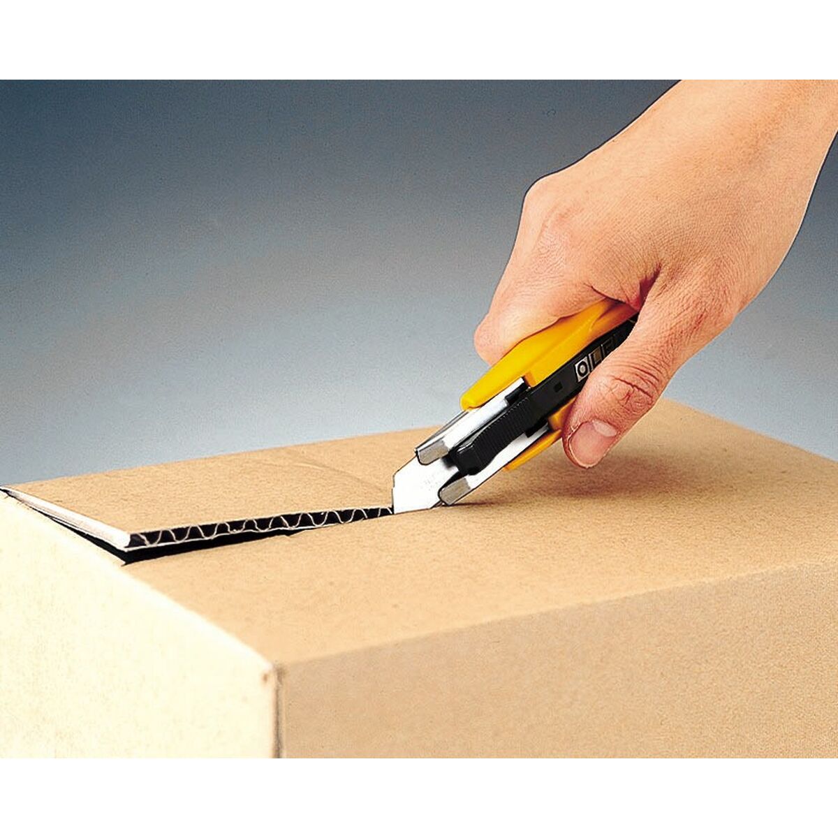 V5HEE32AC4FA4822468E59FF97FBE1C3377R6615178P7