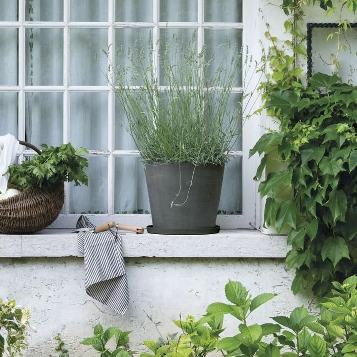 V5HD9A800DE749900E124C5FCB76DBBCBE2R7383771P2