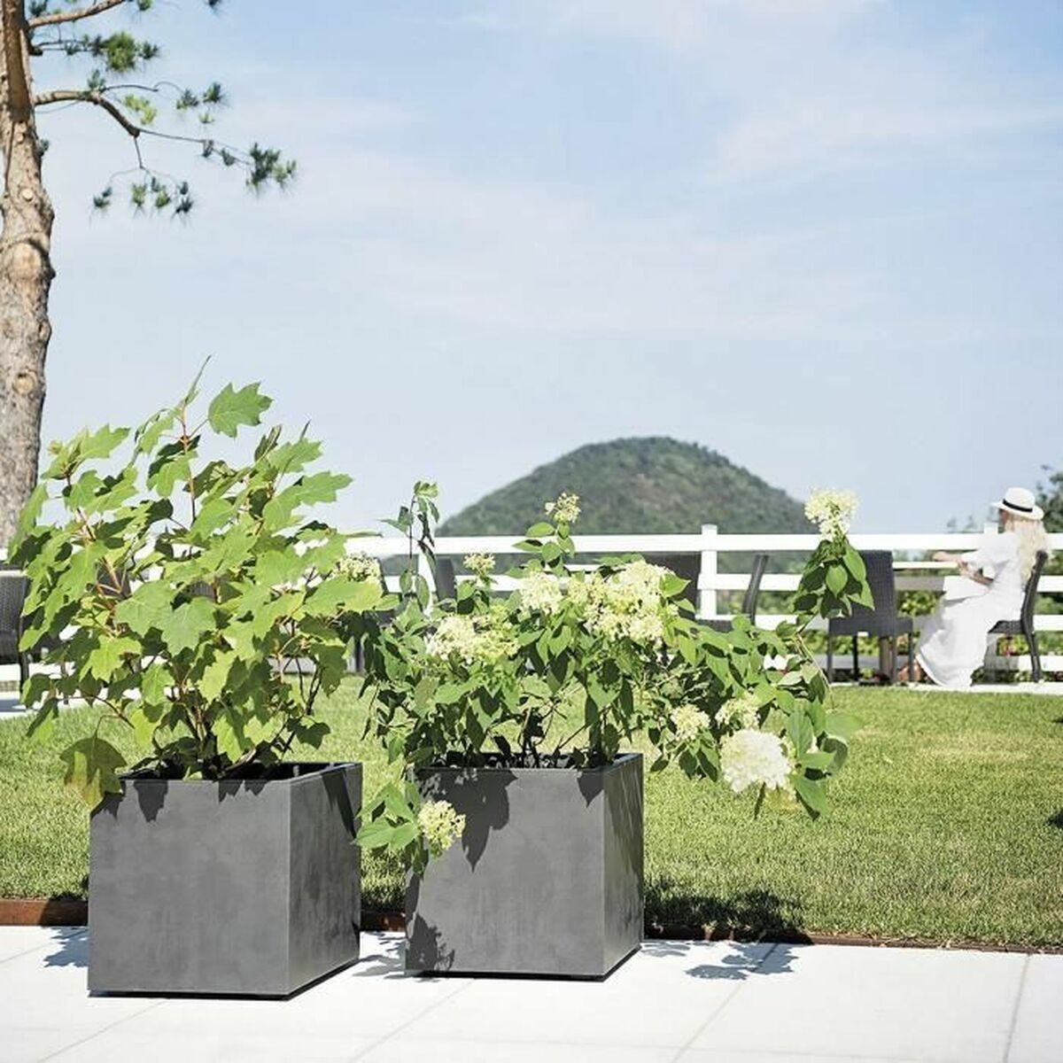 V5H9ED1967582F903DE9AFEF2C52CCCF9A9R7023766P6