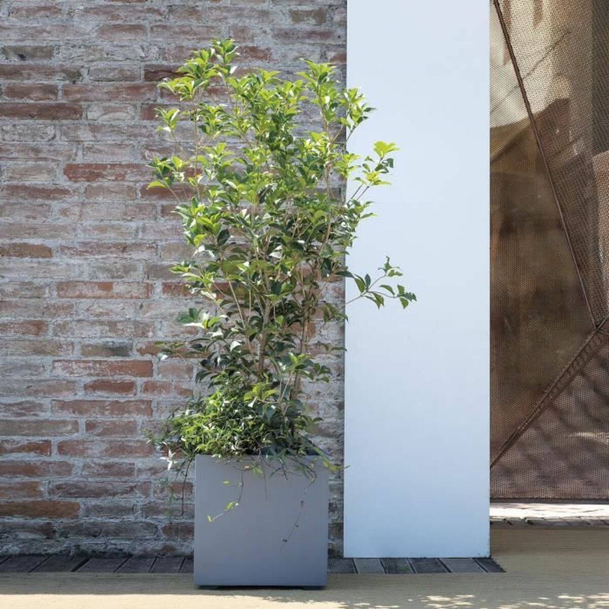 V4H4BD9B477E9C1633E8F6FFFF970988A73R5927905P2