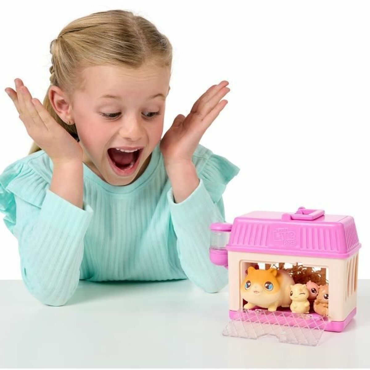 V8HC50DEB91272FA1F4C36D81D8344528D8R6573128P2