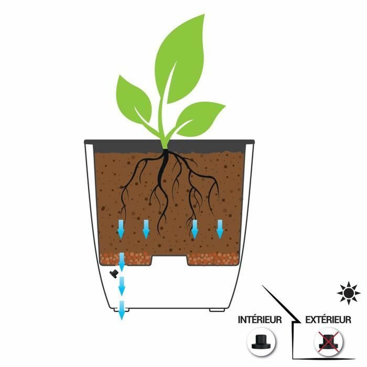 V4H9B8555E44A11147A253DD700DABDF252R5780498P3