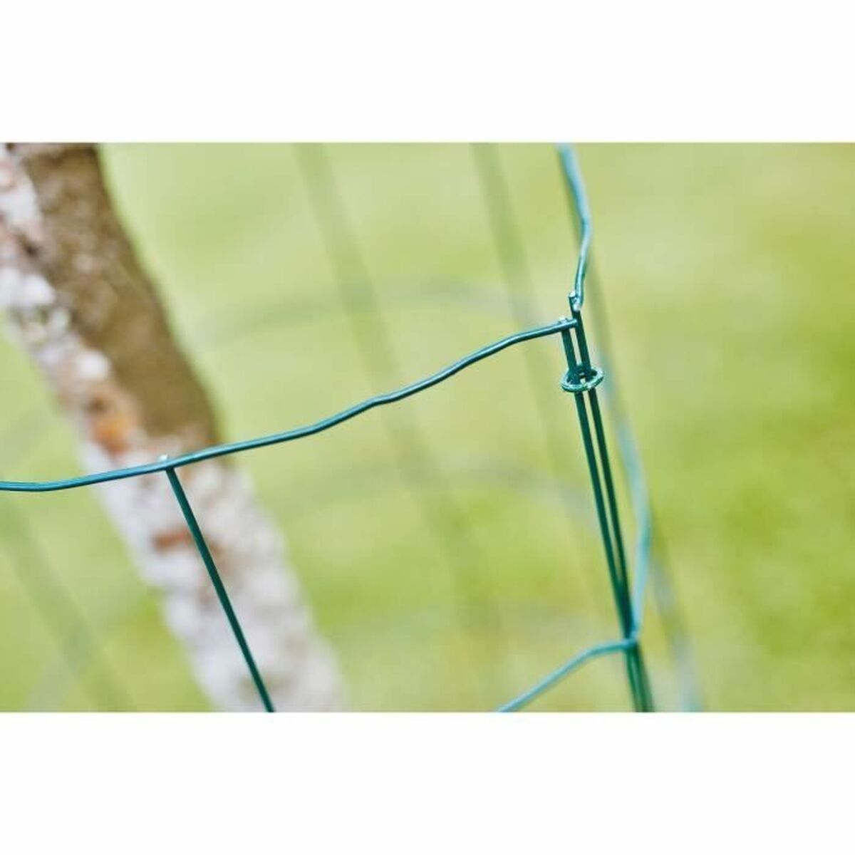 V5H78E7B0B7986E569F8656240F5355CC8AR7363928P4