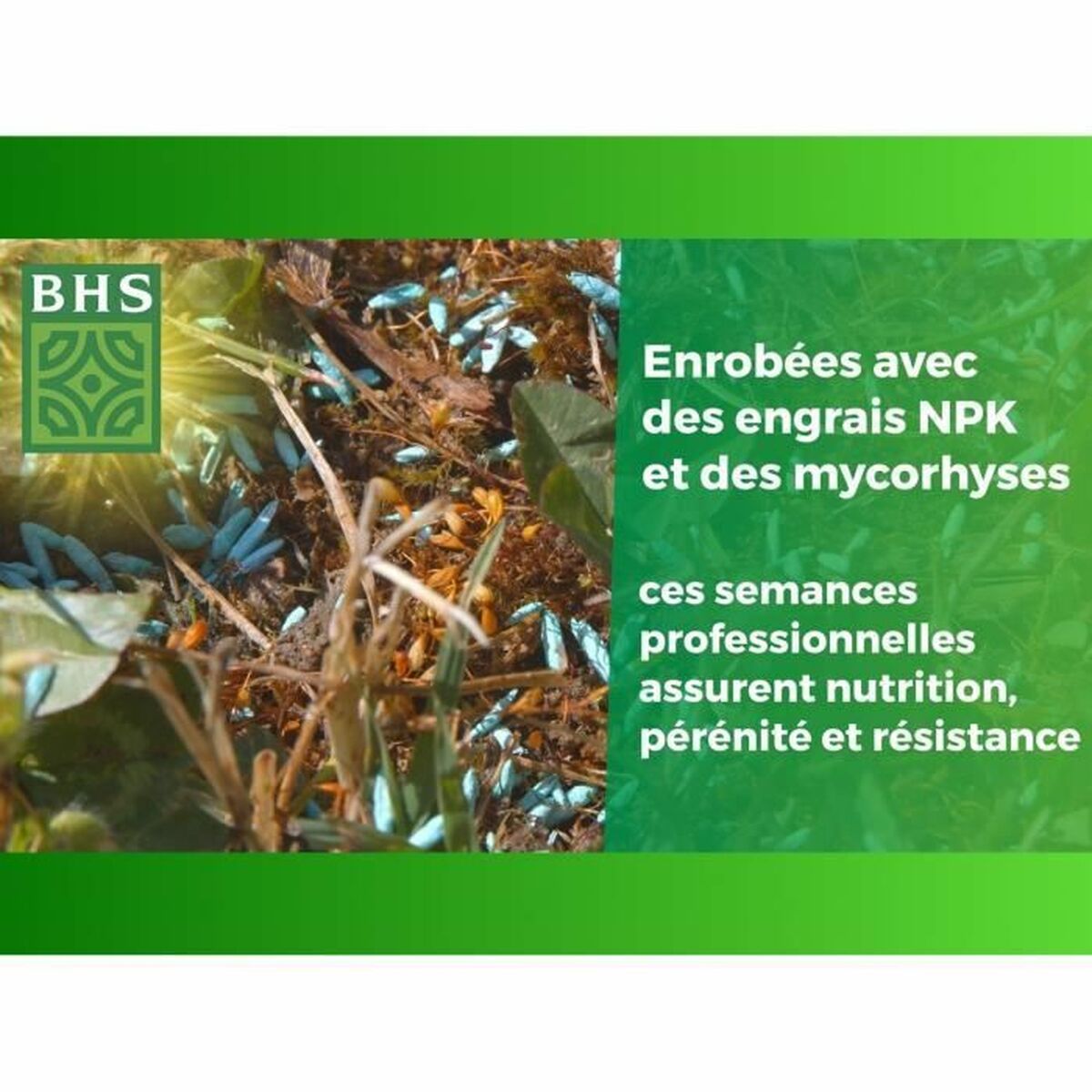 V6H2B350ADA2CEDA7BE6203A2911E641467R7178567P5