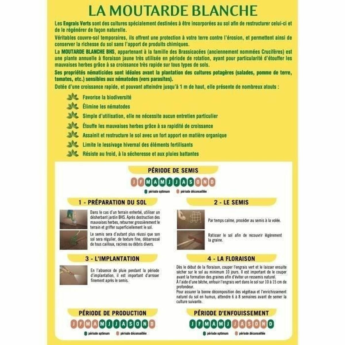 V6HCF064A05204535BA86B780644BA9E739R7405493P2