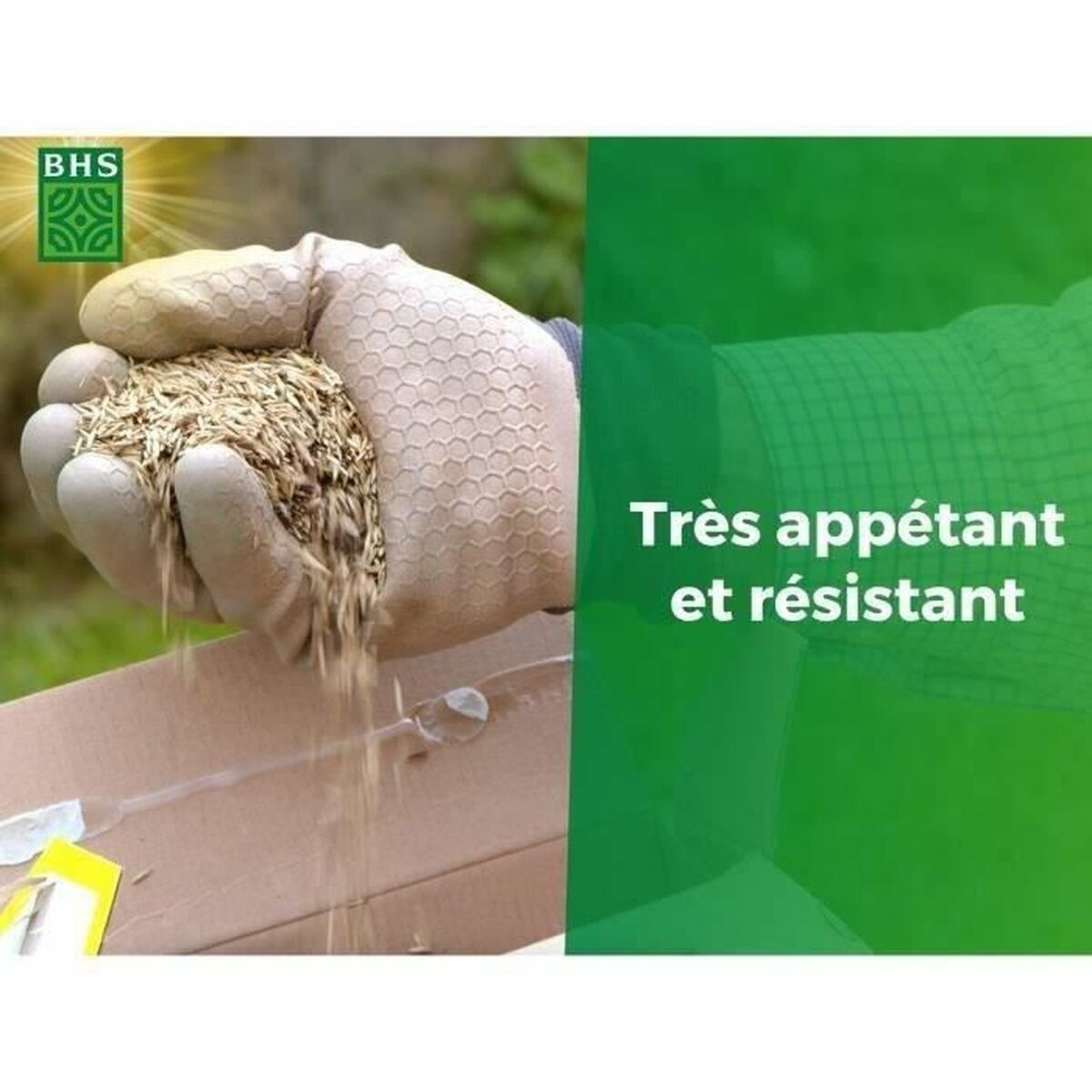 V4H0B9AAC2BFAC57BBB820DE152892EAC68R5808588P5