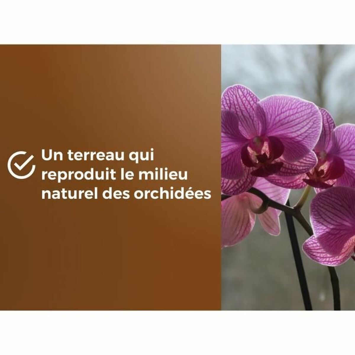 V5HDDF757B70266AC93D85F7047226D342FR5966079P4