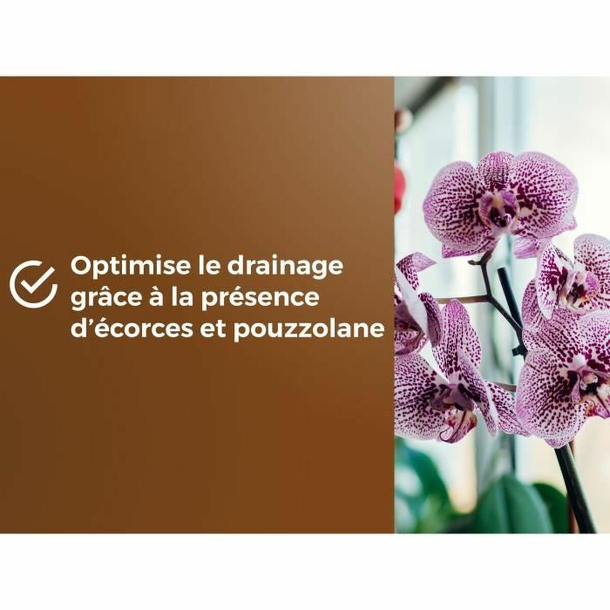 V5HEC095545948EBC7B8C992759B1CA2228R5966082P6