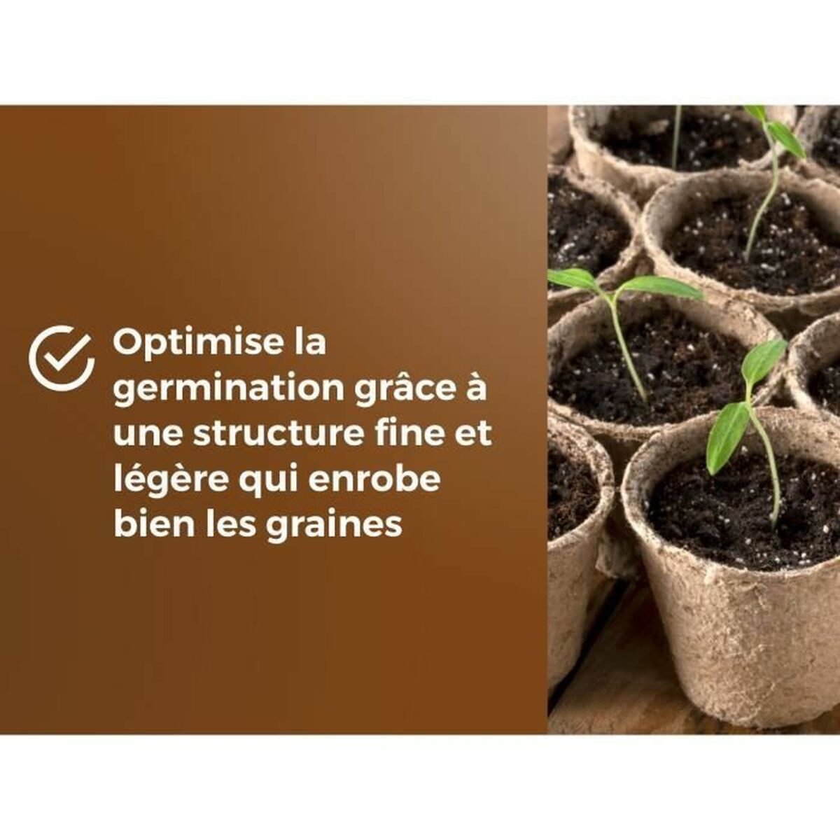 V5H6F5BDFE30C29DC89ECEE322136A3B341R5809337P4