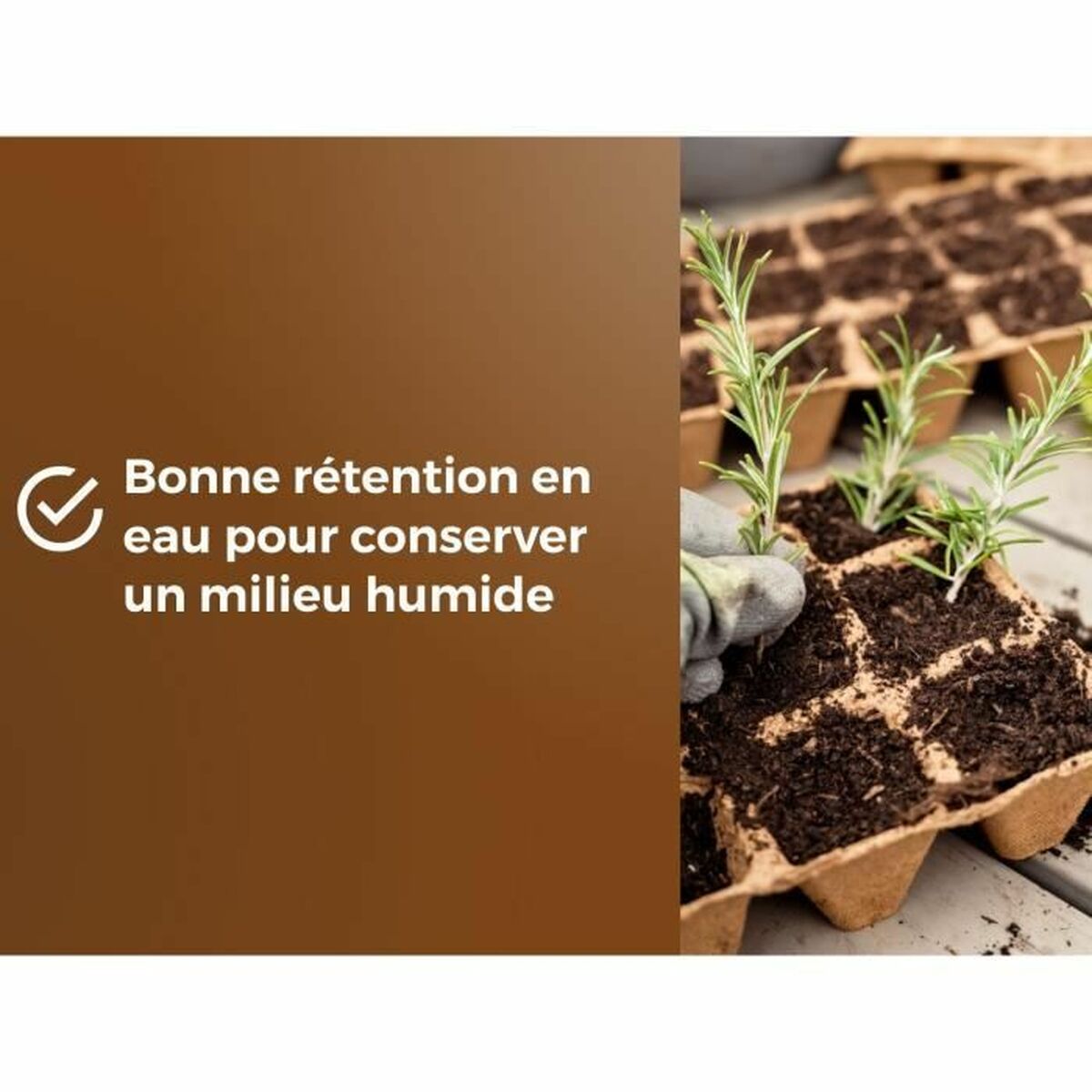 V5HBA0F161FE05873CECF08EF5F80867049R5809339P5