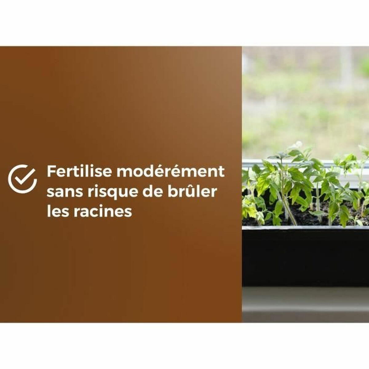 V5H074EAA3834488343D7DF2BB9ADA5AAD4R5809341P6