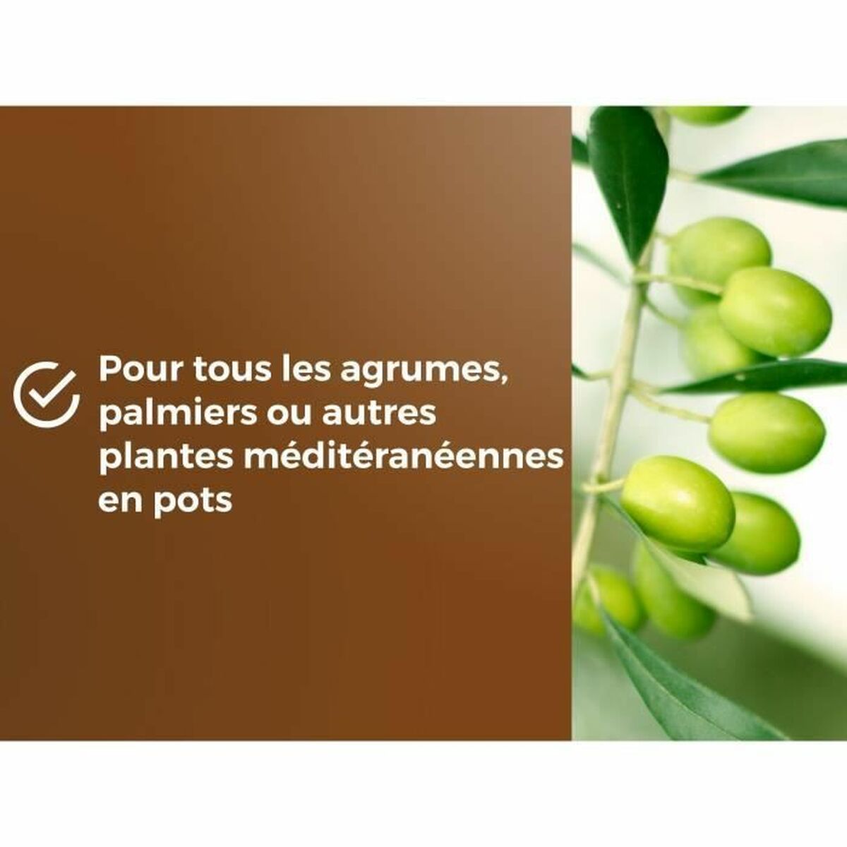 V5H52046314B98F95380E0E8EBE4A1C1523R6680069P5