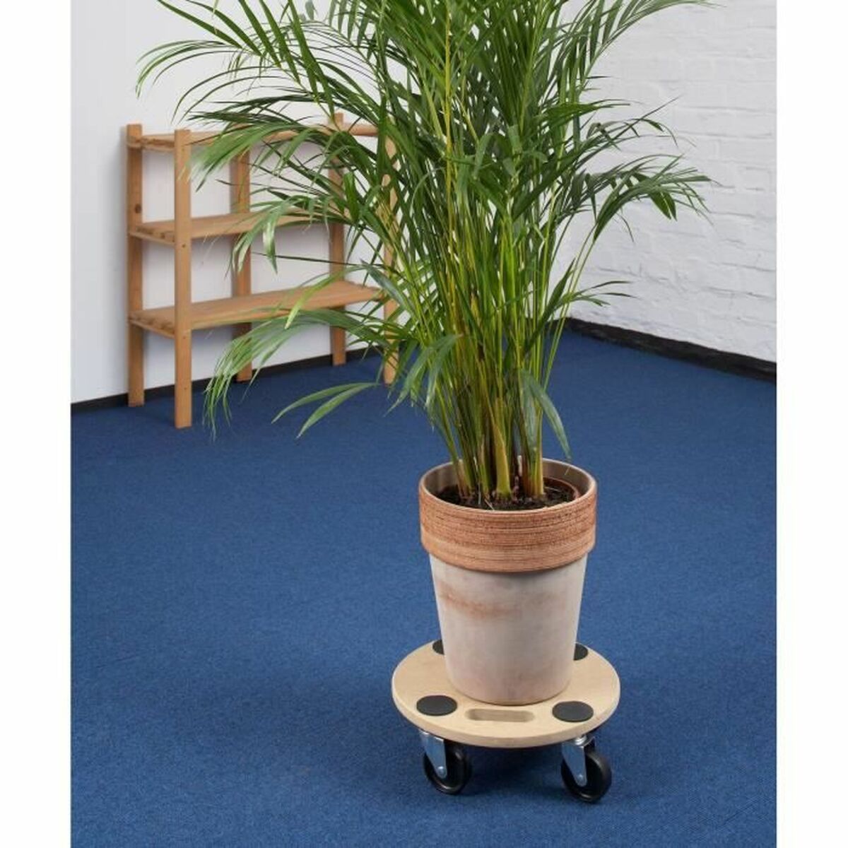 V7H8E2F5B621F4EA03A69DE435021915A1FR3437258P2