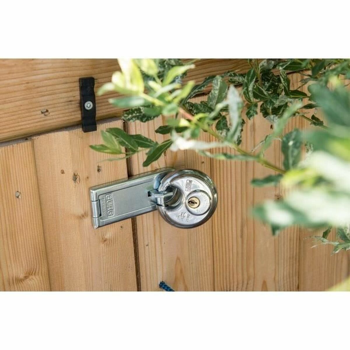 V5H542B7A6630A66393FE97A12A45547BB8R5169532P6