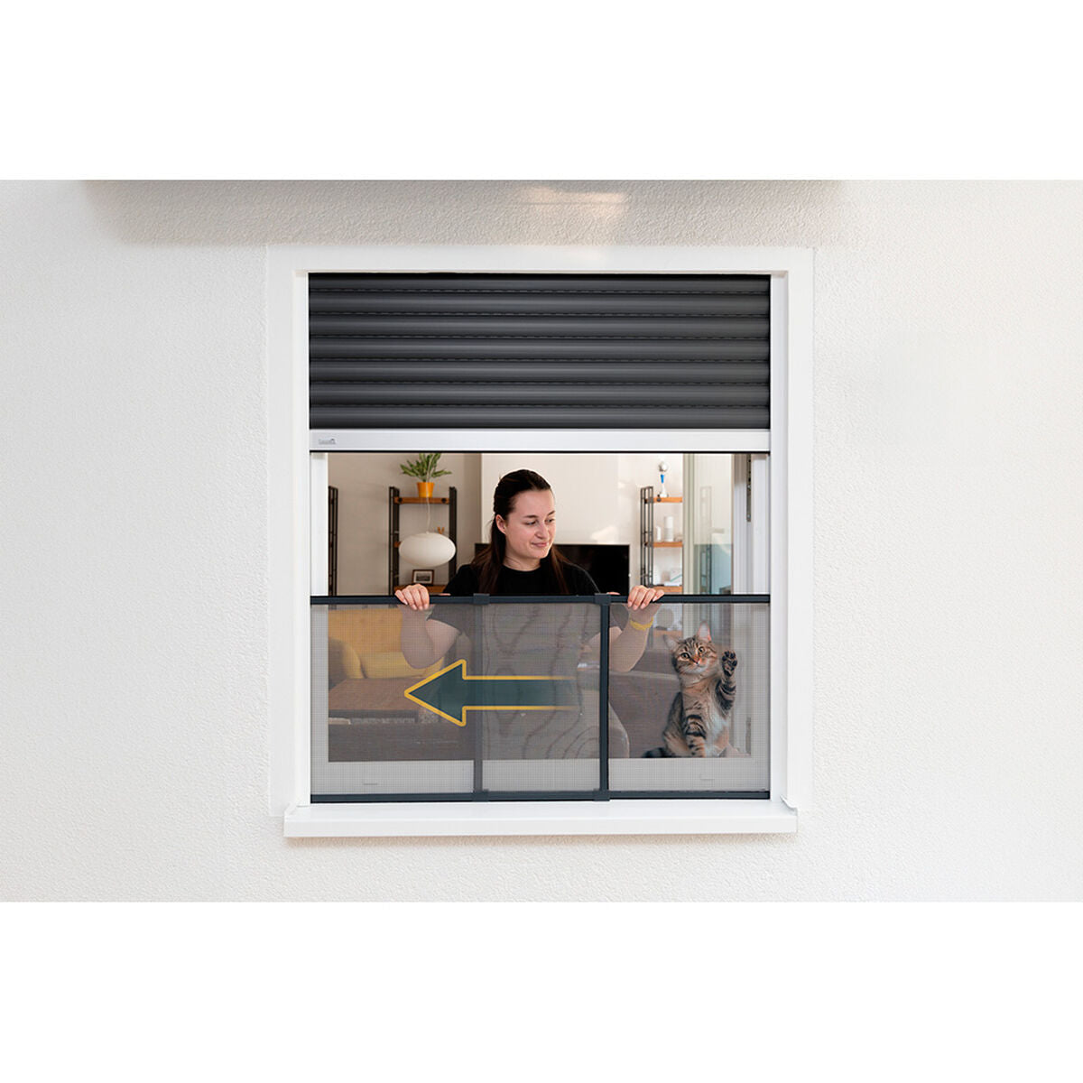 V3HE09782619F7FDD83D78DD92589CB1C0FR7471336P2