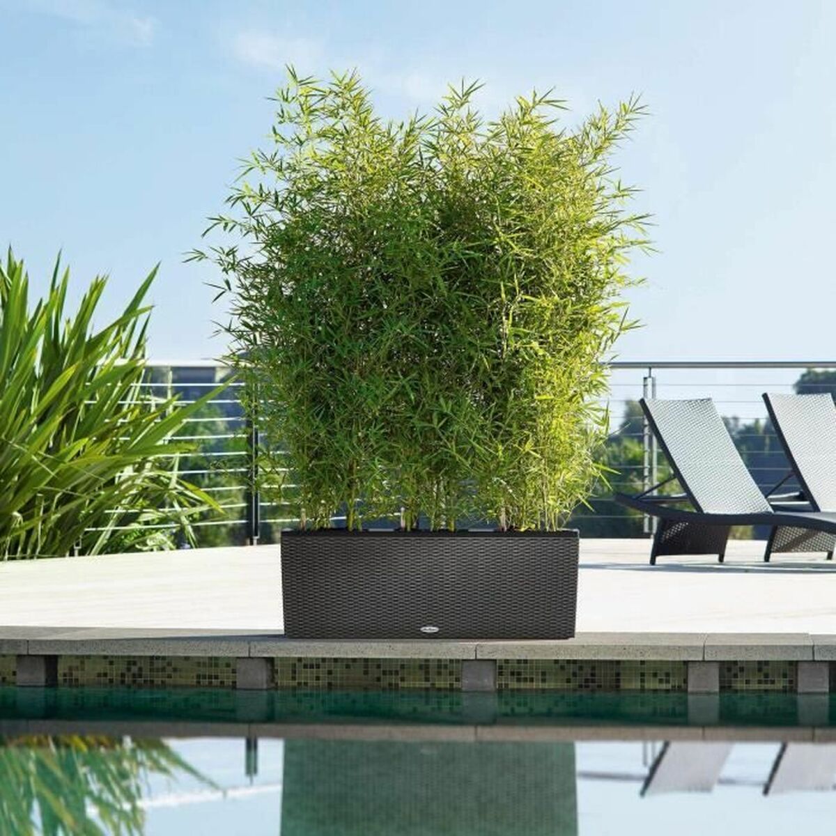 V6H060AC833BBC6BF51E465B1CEC8B6ED4DR7349226P3