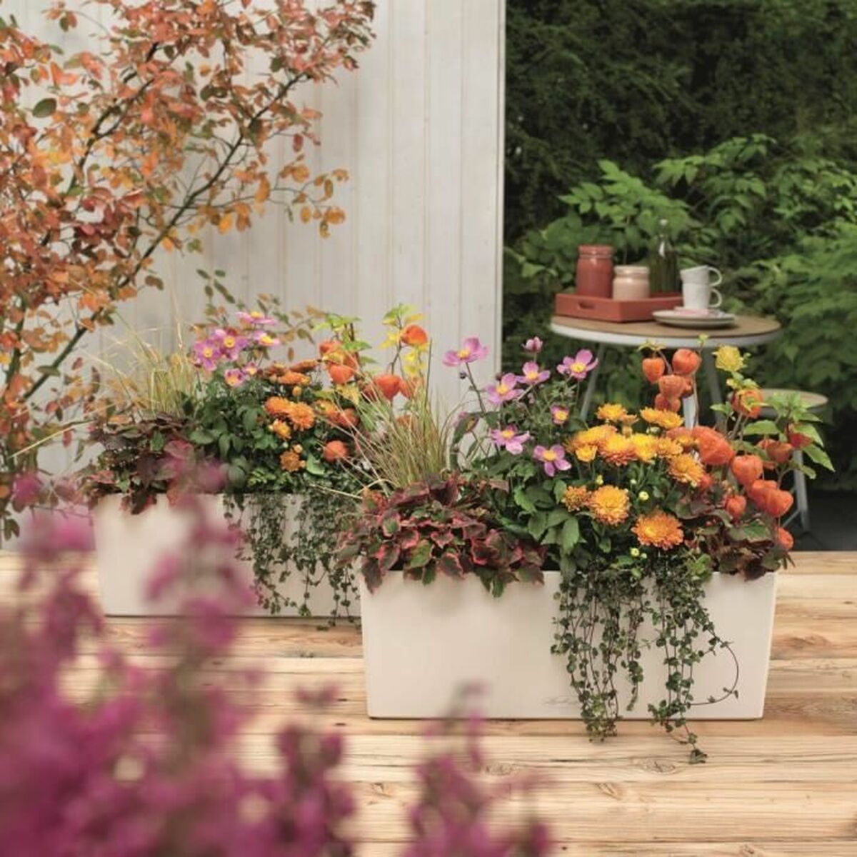 V5H6B24735D8B2724C1C7BDFFD1A8C63915R5837910P7