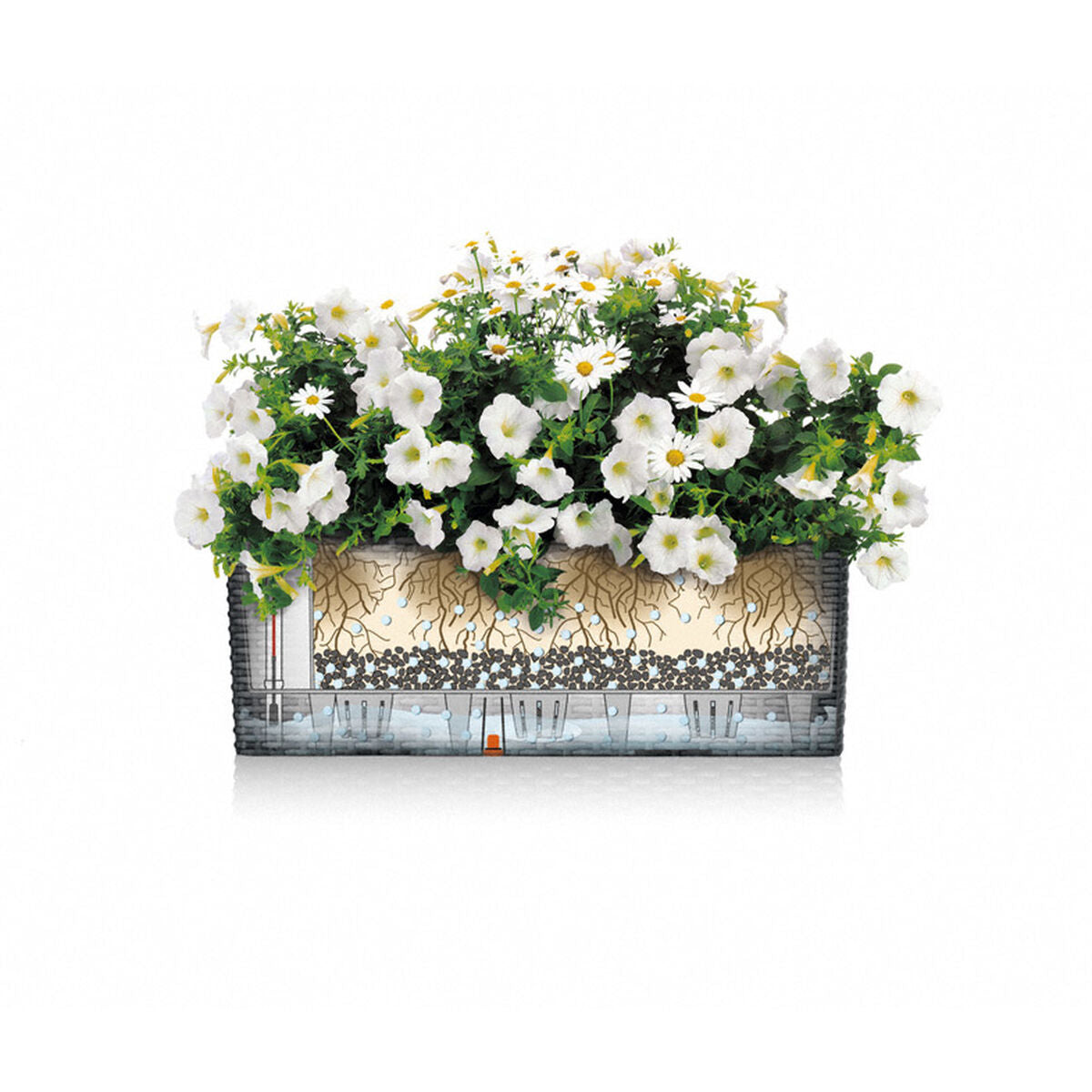 V4HE5A0174A11E8EC2EBA6BC03CC054D7DFR5837920P4