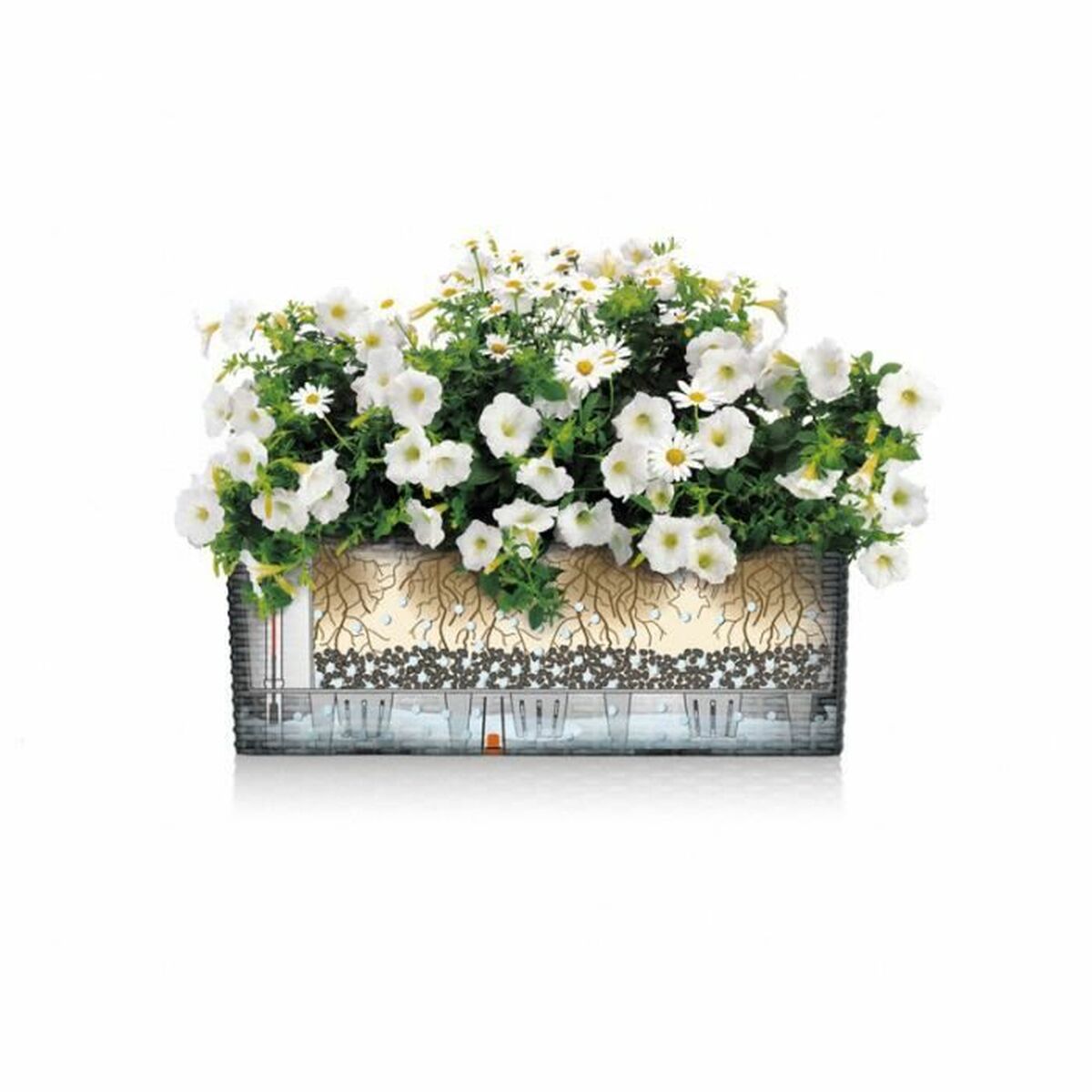 V4HABA9A768550E7E168DA40F2AC4B7311CR5837925P7