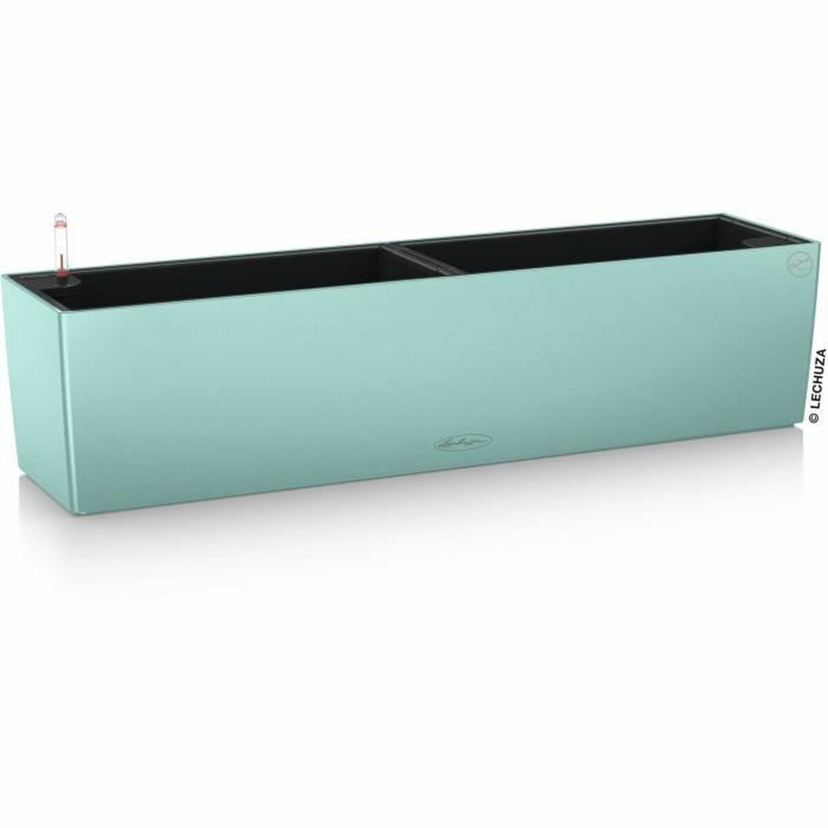 V6H7D8B144F008D8183B59D0F5A10190815R7370318P1