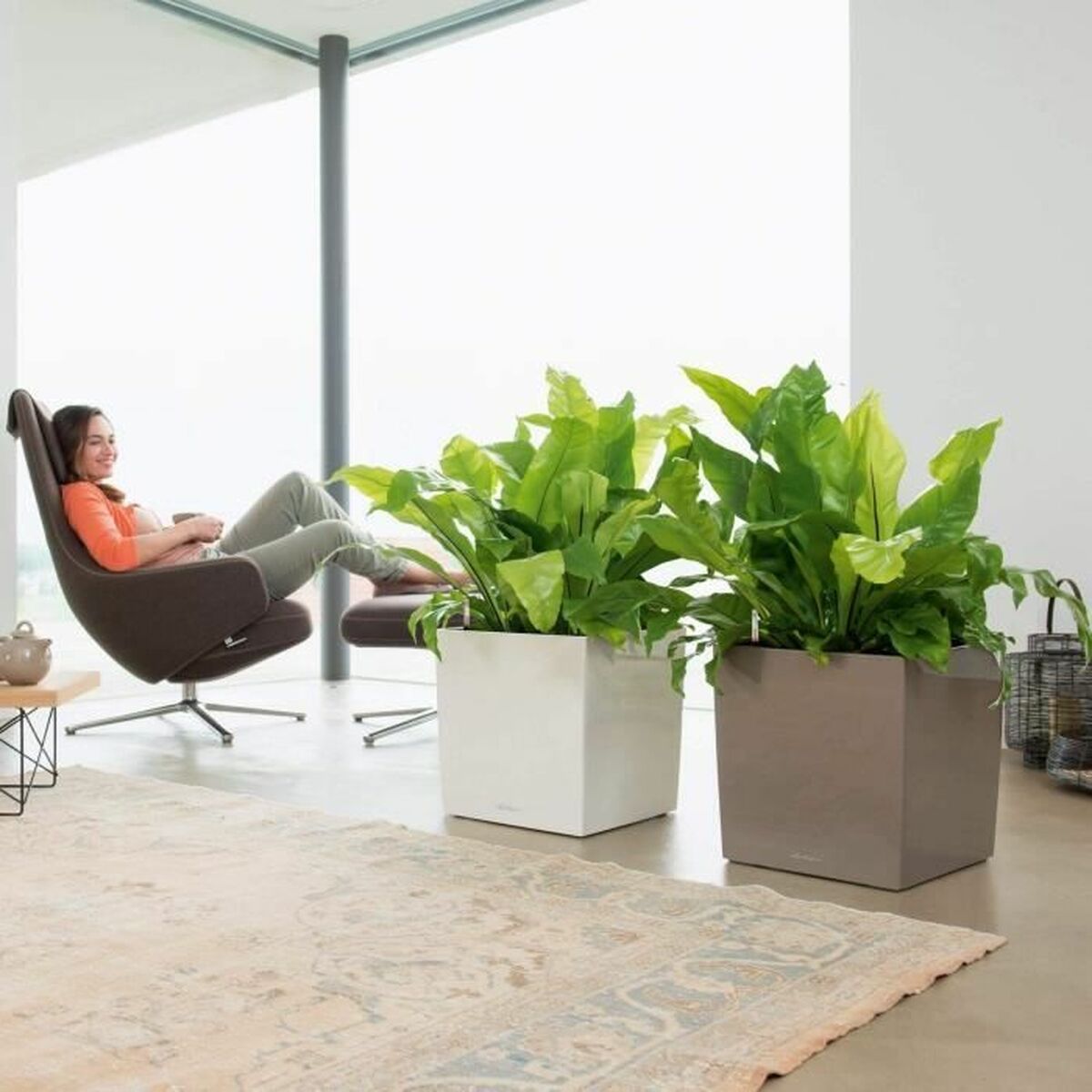 V7H86EE74282AA9B715E8D349C6E81B52A0R7370381P4