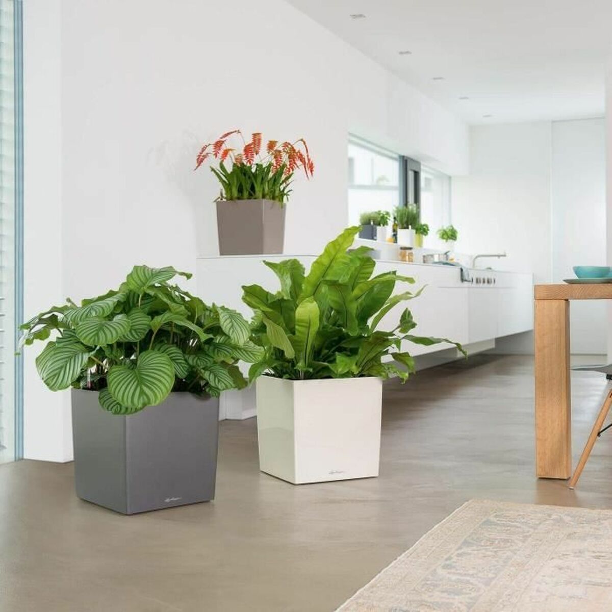 V7H9509AB94FBB791FBC75F4EDB49962CC7R7370382P5