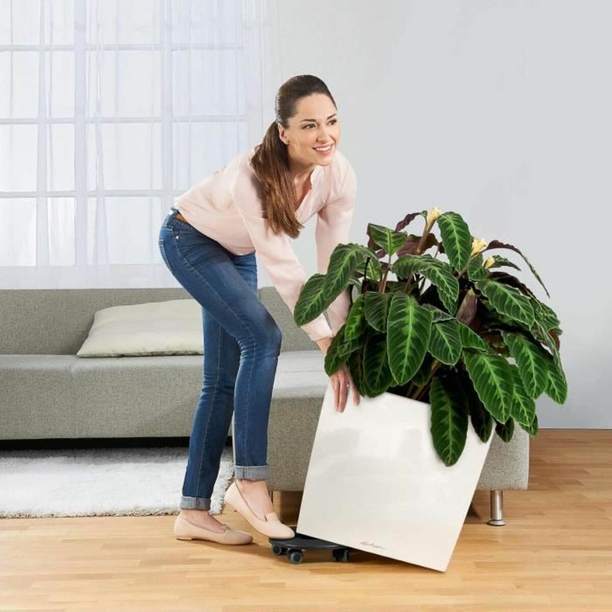 V5H5A164EDB2127D8390CFDA26425733B8DR4371602P3