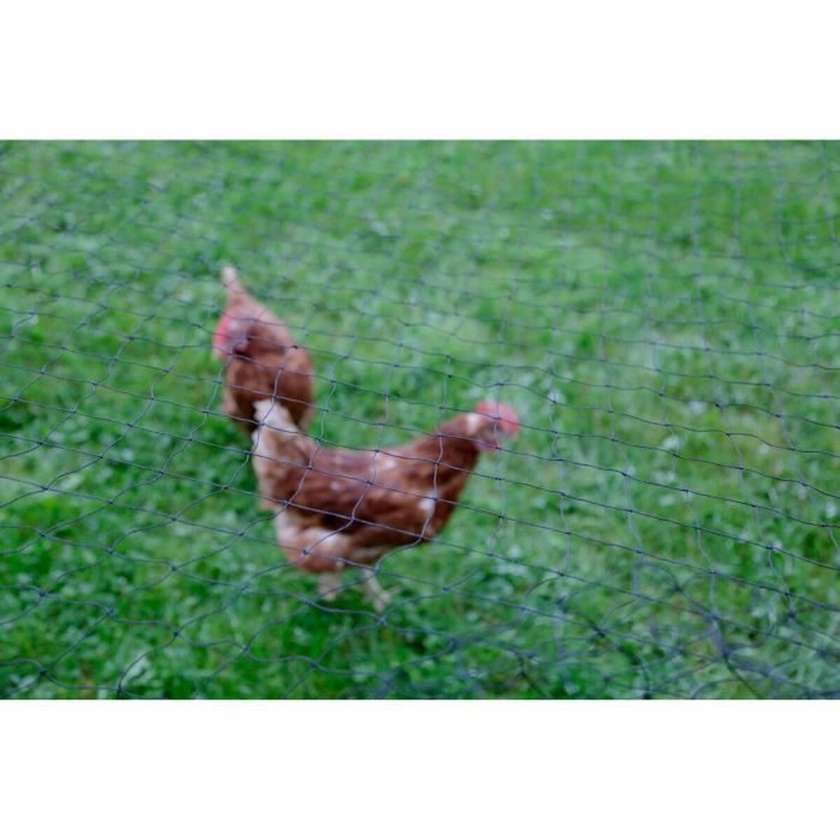 V8HF5EF3303F9EBEBD34F6EF81EB123B6D0R4014814P2