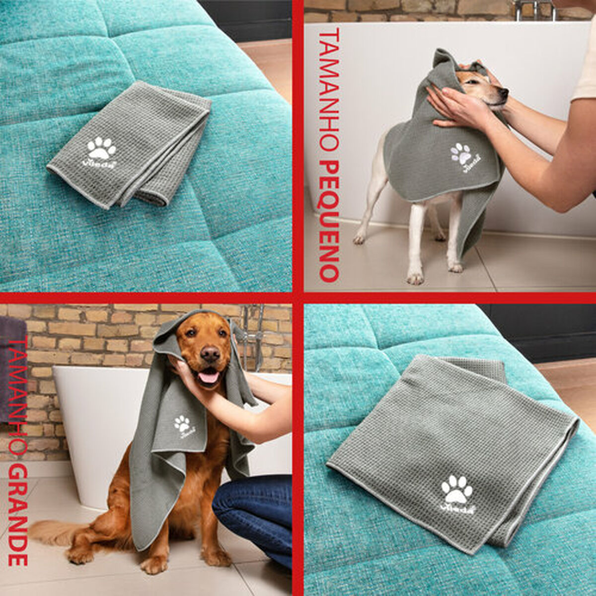 V6H96BE53E46C56624E6C7AE9F6C928F3D3R7463499P10