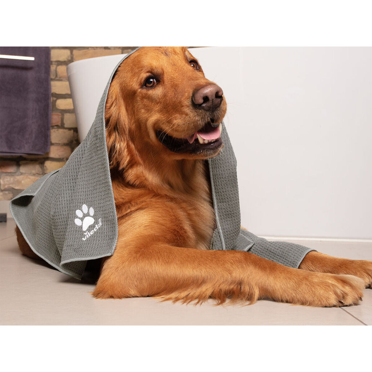 V6H043F6559E65CF52D553D79F6B3BD9F96R7463084P9