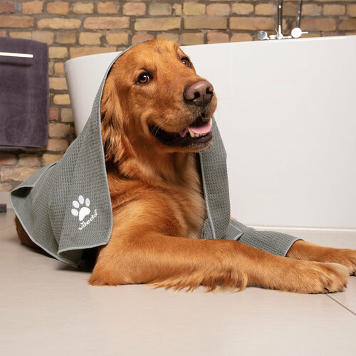 V6H9FE379851F001541362BC685DC9A4B36R7463264P10