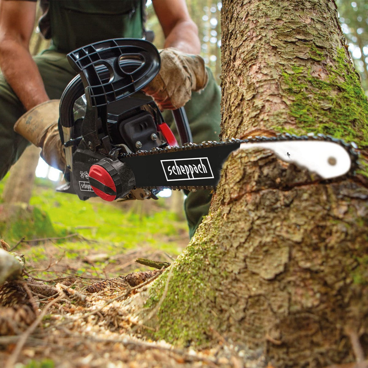 V12HF62EC55D24F146C521F468AE7D88576FR3384867P6