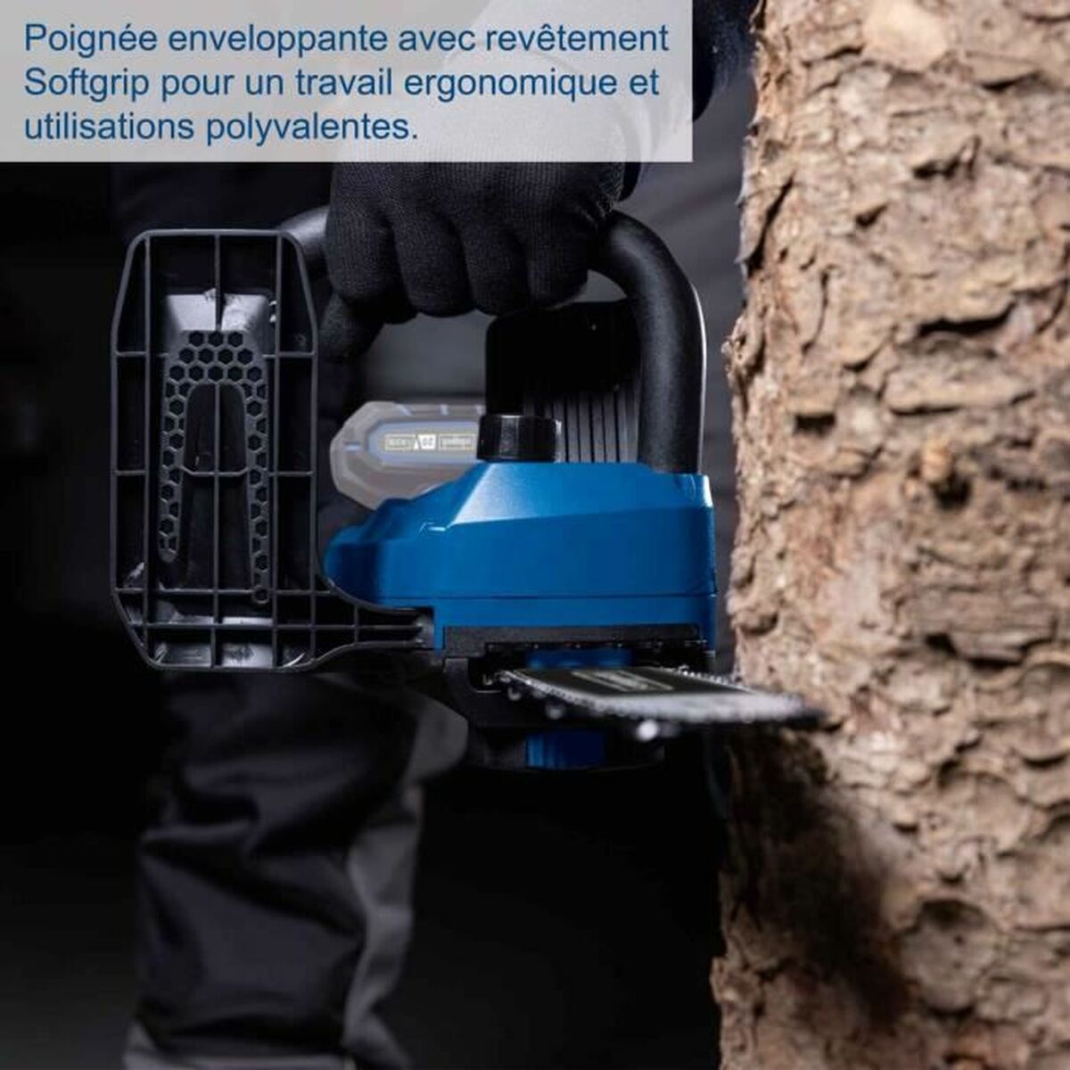 V5HDAEFB8F669594D2FCC9A3E3CD36D8E5AR4895890P5