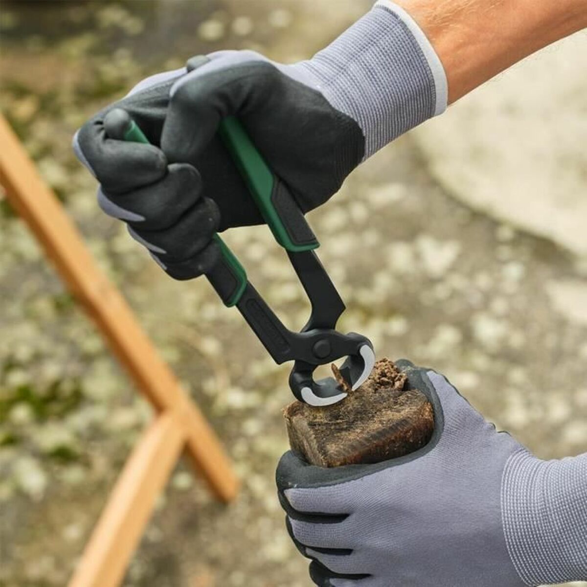 V4H9FE1B13113246995E3BC6DF76E14D929R5838032P3