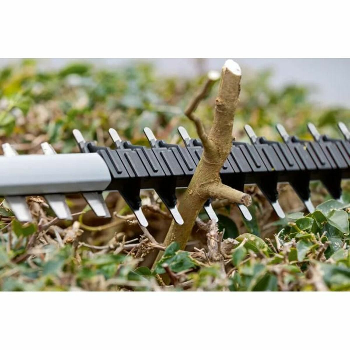 V4H700B8A4FC1E245FAECCBD795BAEC90E2R5998966P7