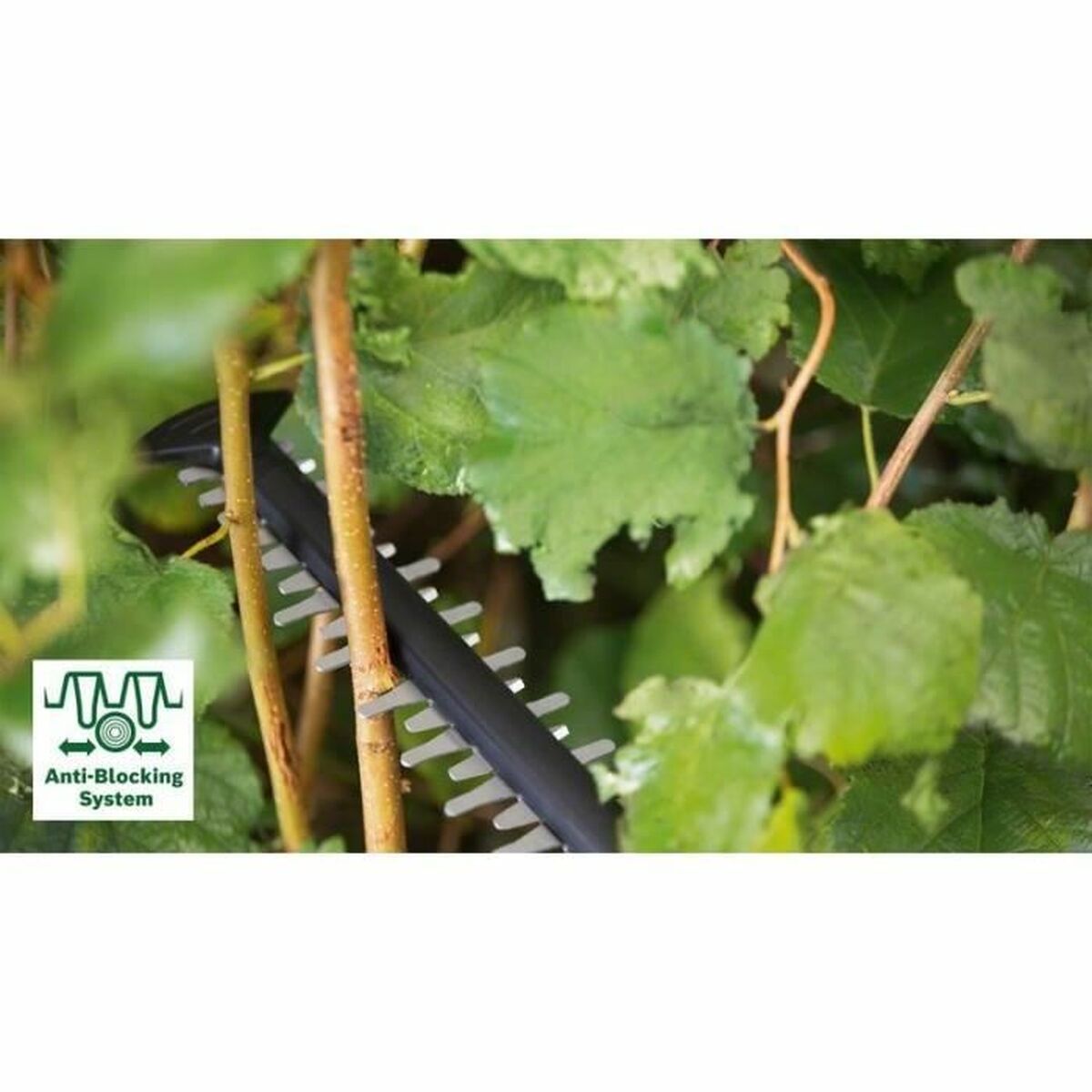 V7H9200C660C099EC2FE555427382C6C20CR6895952P2