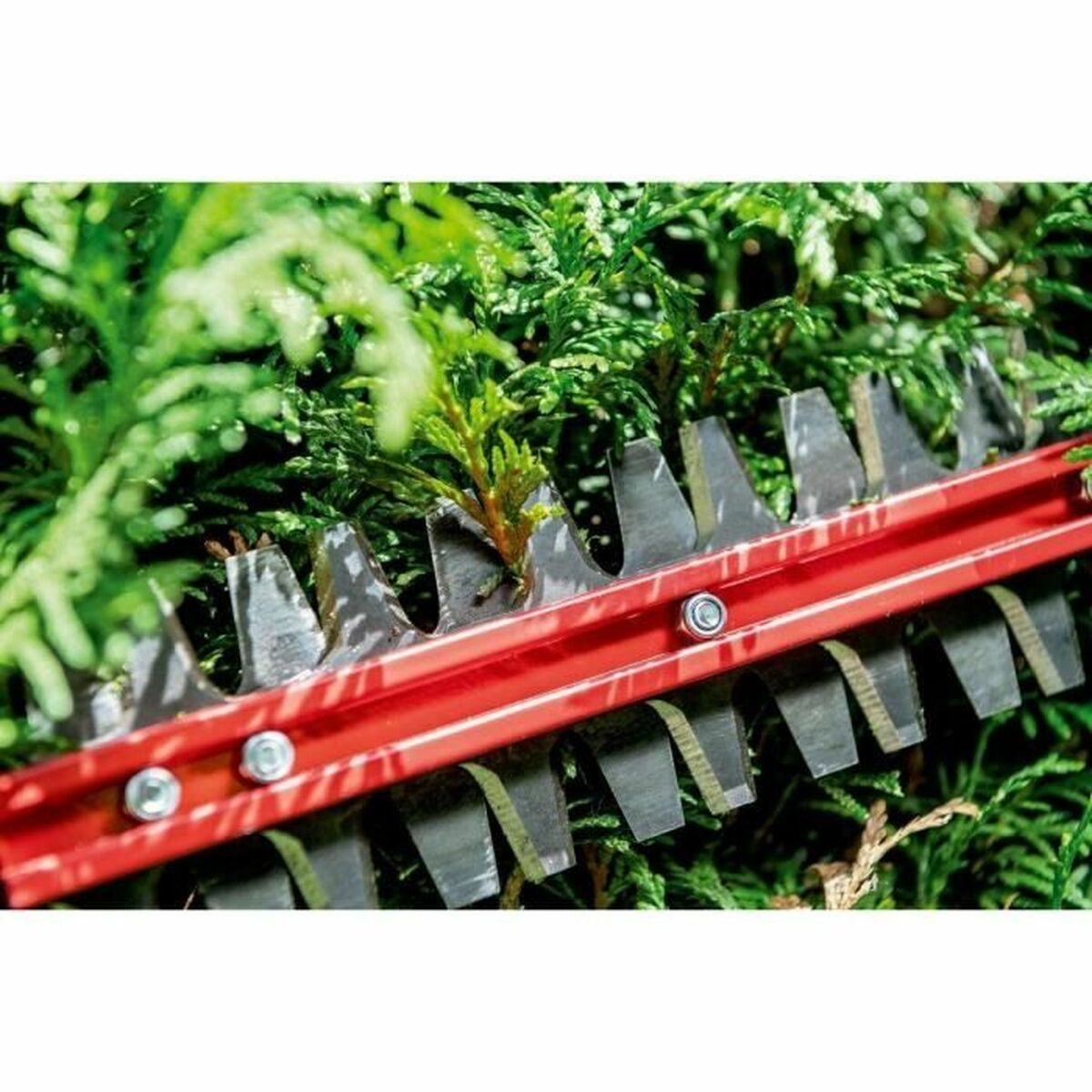 V6H56E9E1900B531AEBF5C660F775A499C9R7254744P3