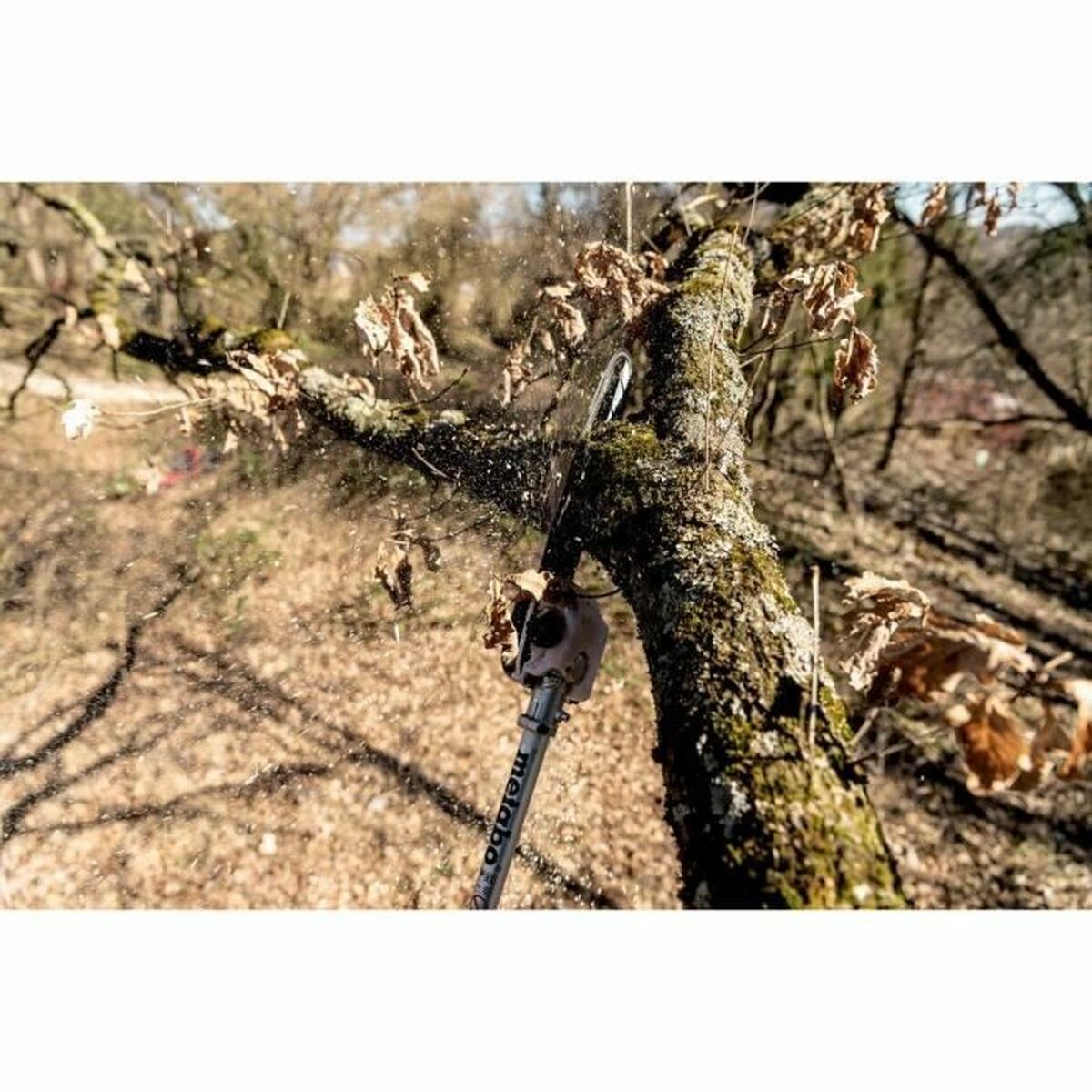 V6H9BD738405C9CDE72FED4831CC00A95CCR7319966P6