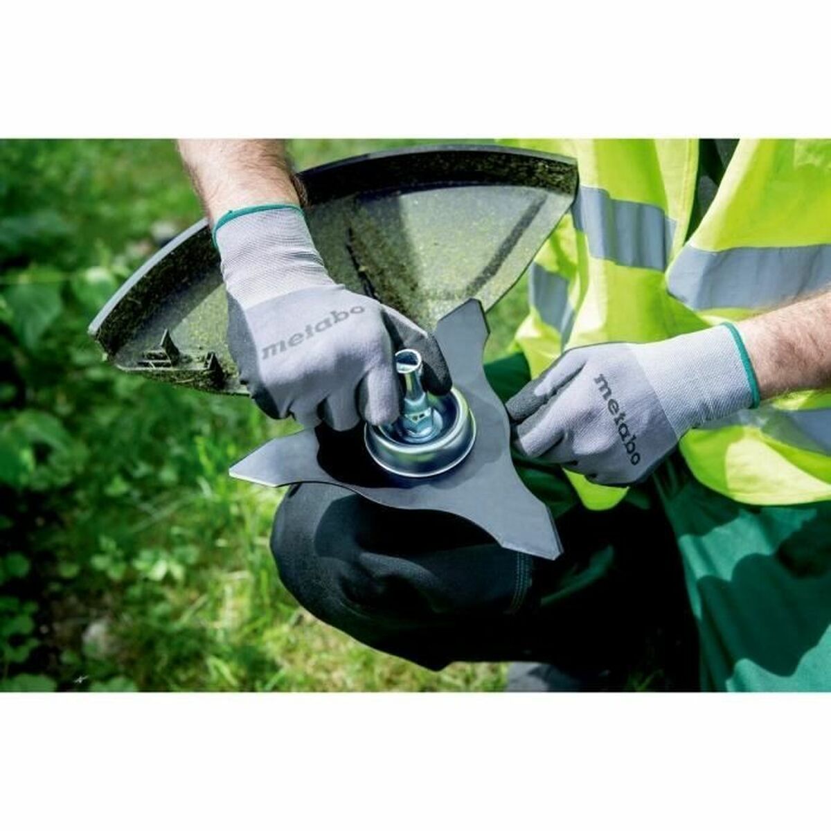 V5H6C5919C52FC6644E79D0C690C9DDEF7FR4895637P3