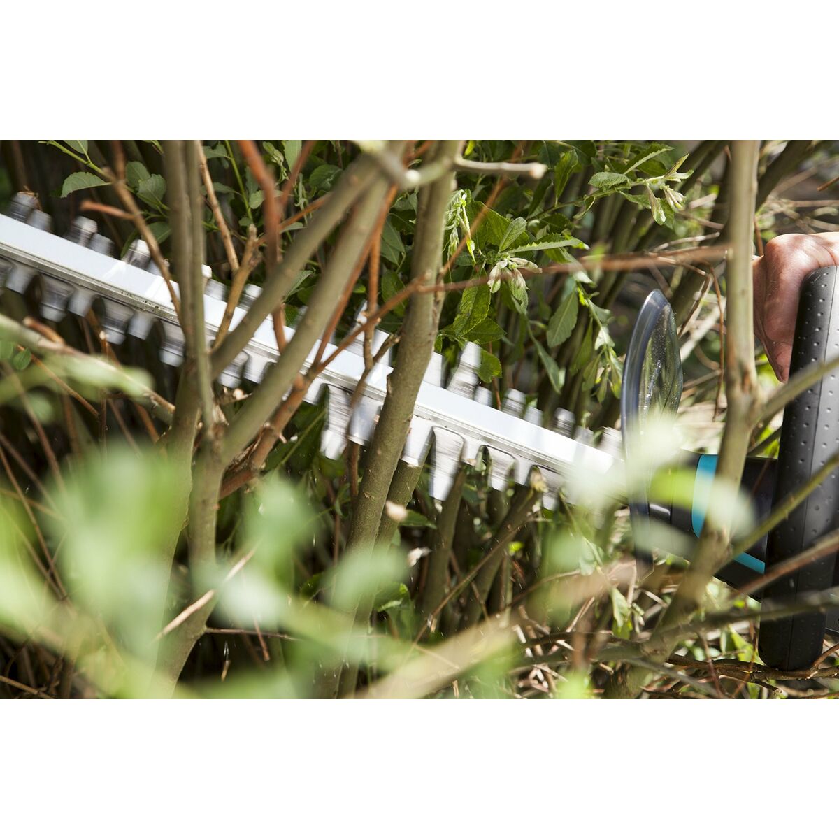 V8H49FCC55D8B8C53BFEF149334CEB7E82BR6759374P9