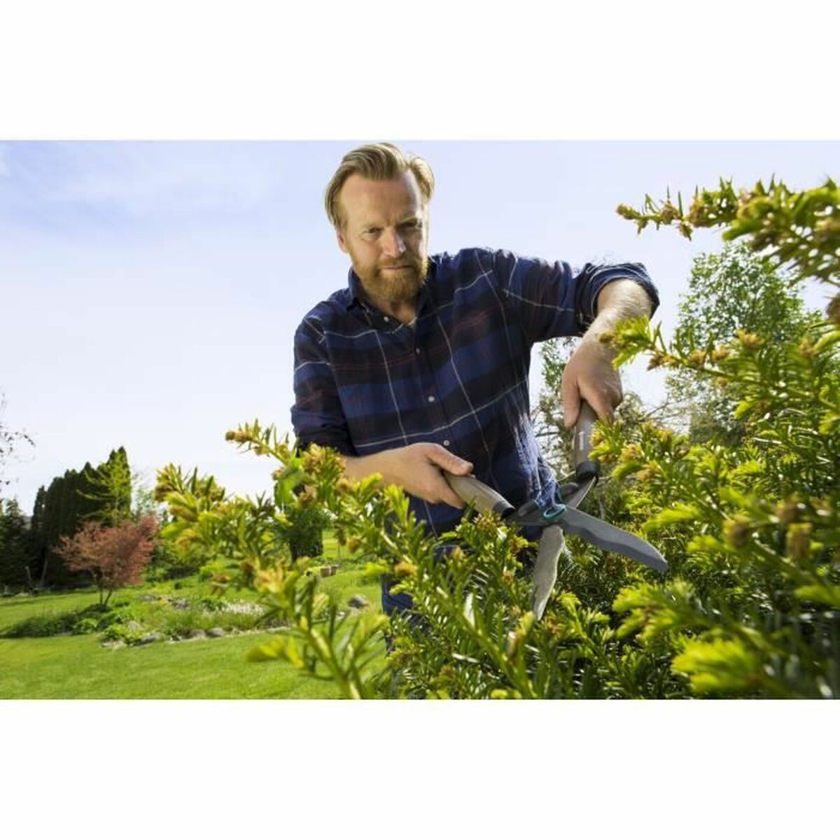 V6H62DA56CCDB1D49DA12EC9ED3A7057BA3R3871697P3