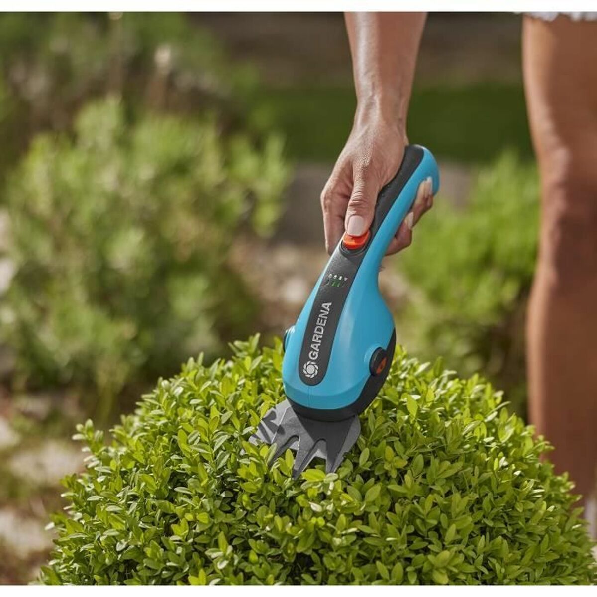 V9H823E1943E1ED61487FDD27FB91979817R6180039P8