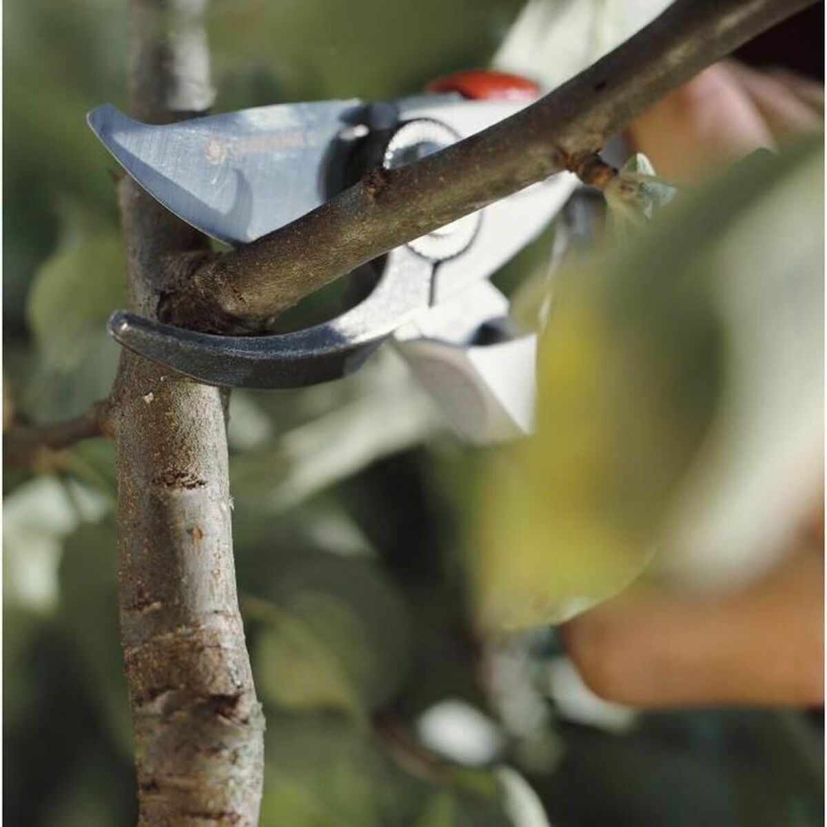 V9H2996E07EEFC3DEE8A9CCDA05AD3A5E4ER6248120P3