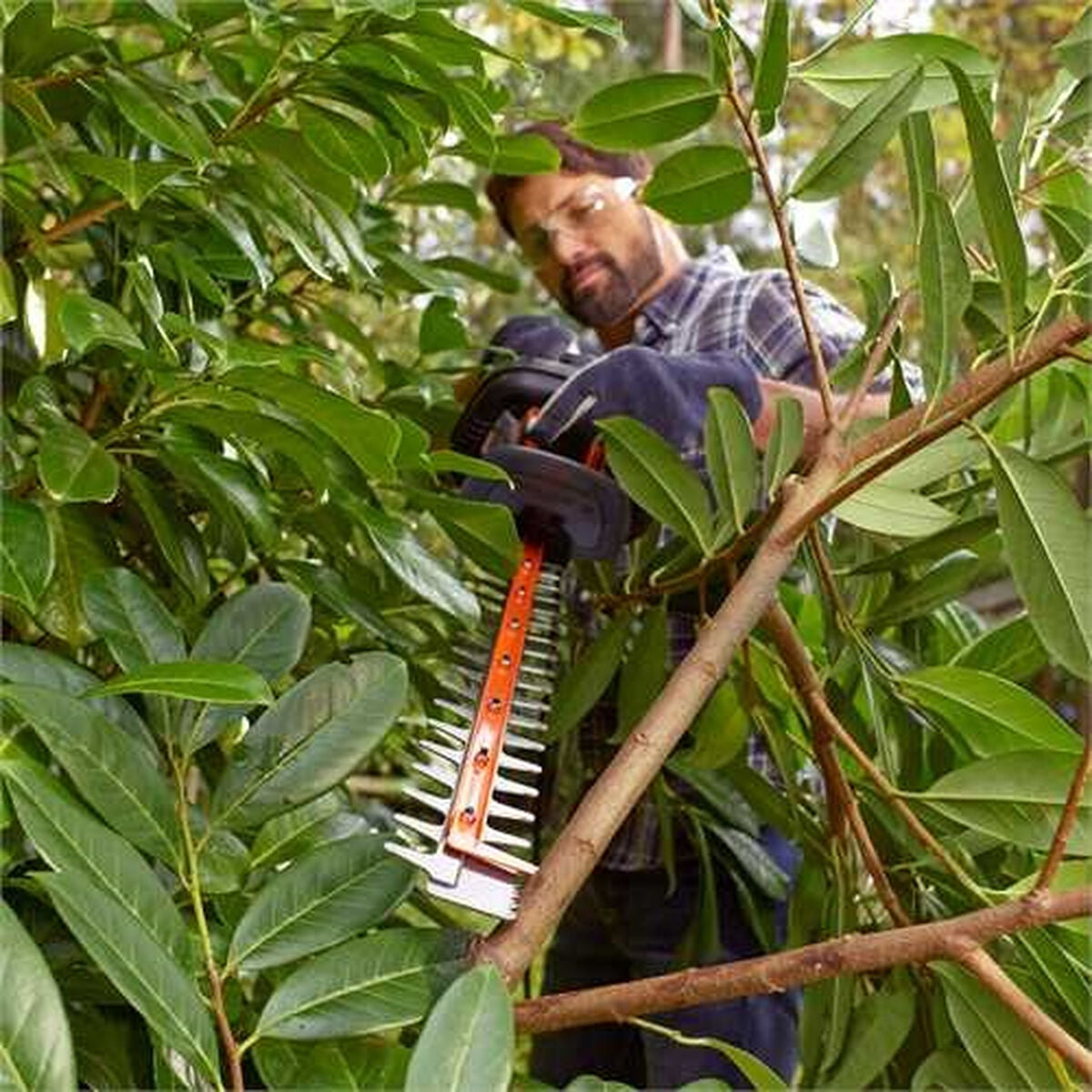 V13H6AFA4A709320E6E259239BF9C1DD4658R3450858P4