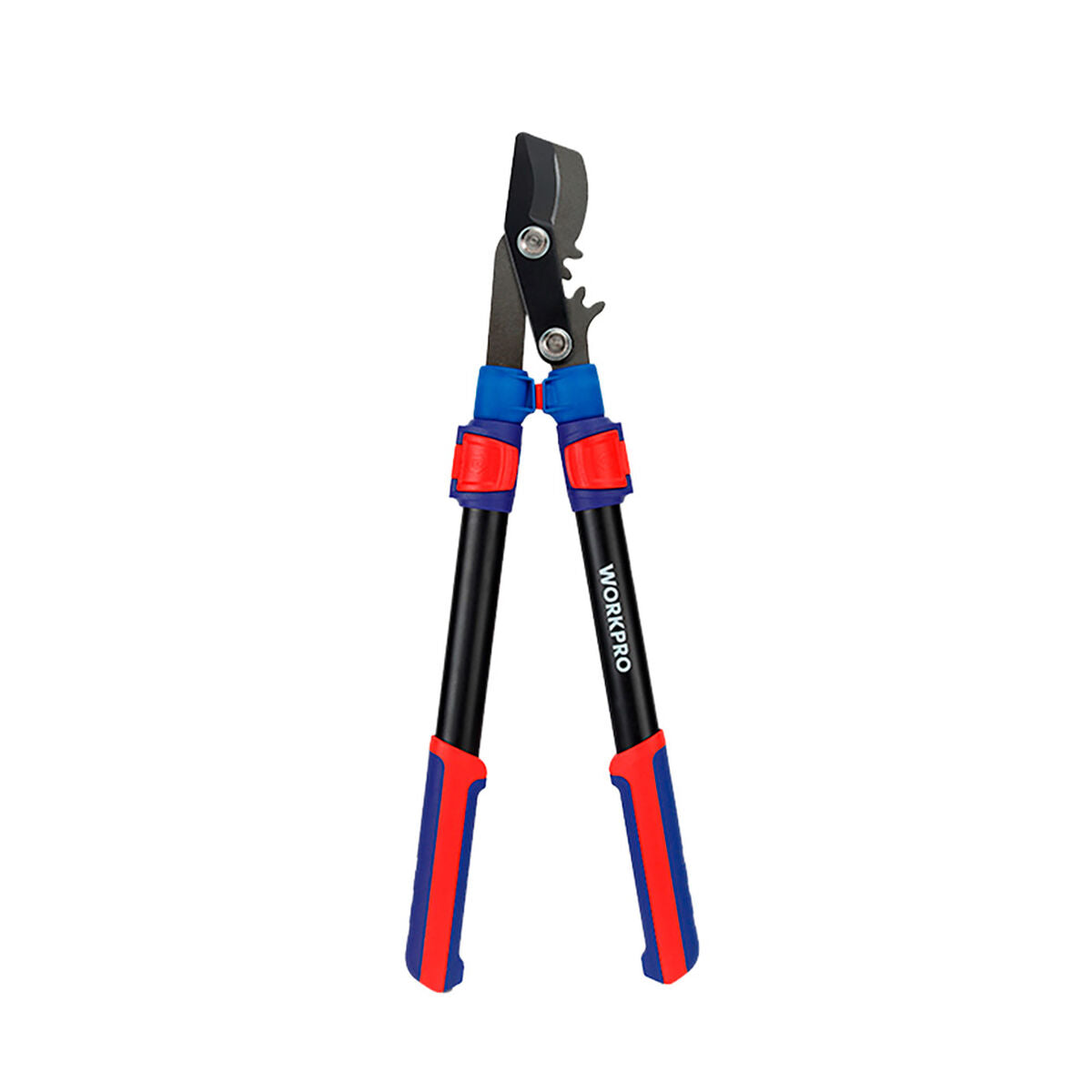 V3H947656F301A9F5269B7F60CA5E2202B0R7506167P1