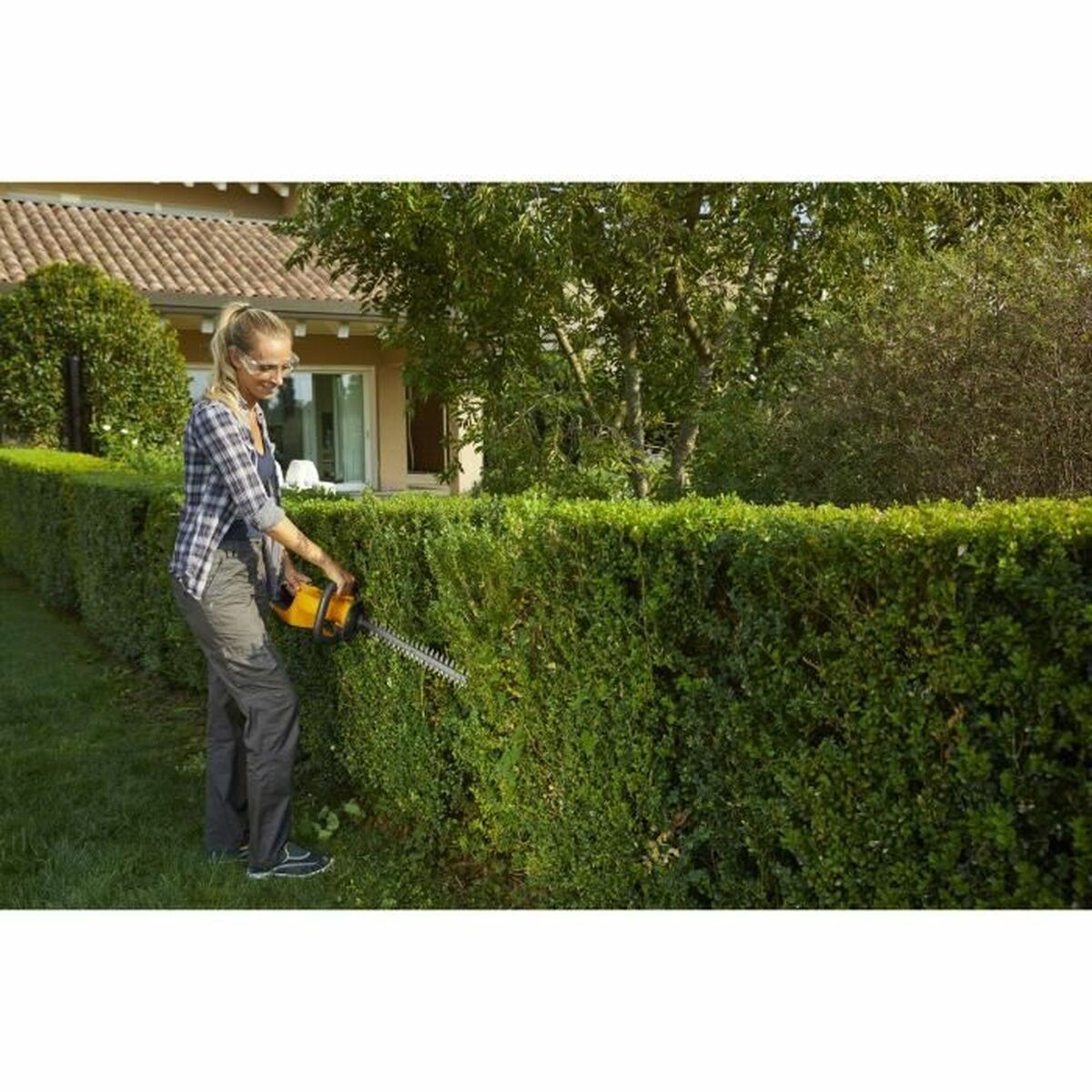 V8HF31A73E86D2B31E129CDA0EC151B4262R6248537P3